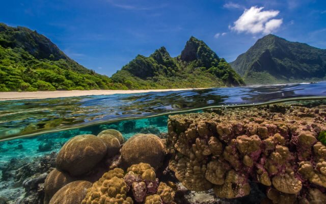 A view of coral underwater and island mountains above..